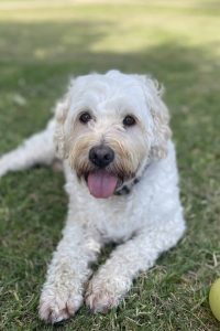 Winnie bio photo